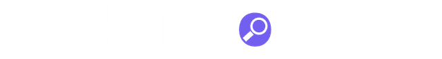 PraktikPortalen logo